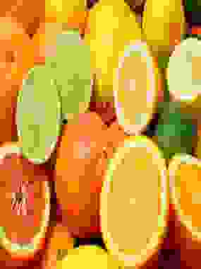 Citrus